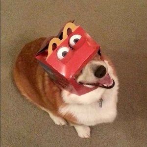 Meet your Posher, Rebekah